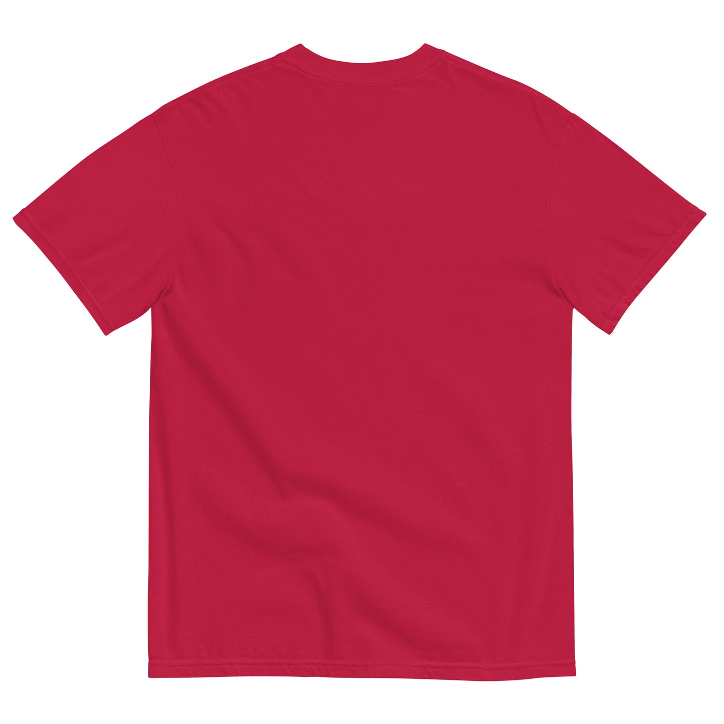 PUNXSUTAWNEY KILL (11 Colors)