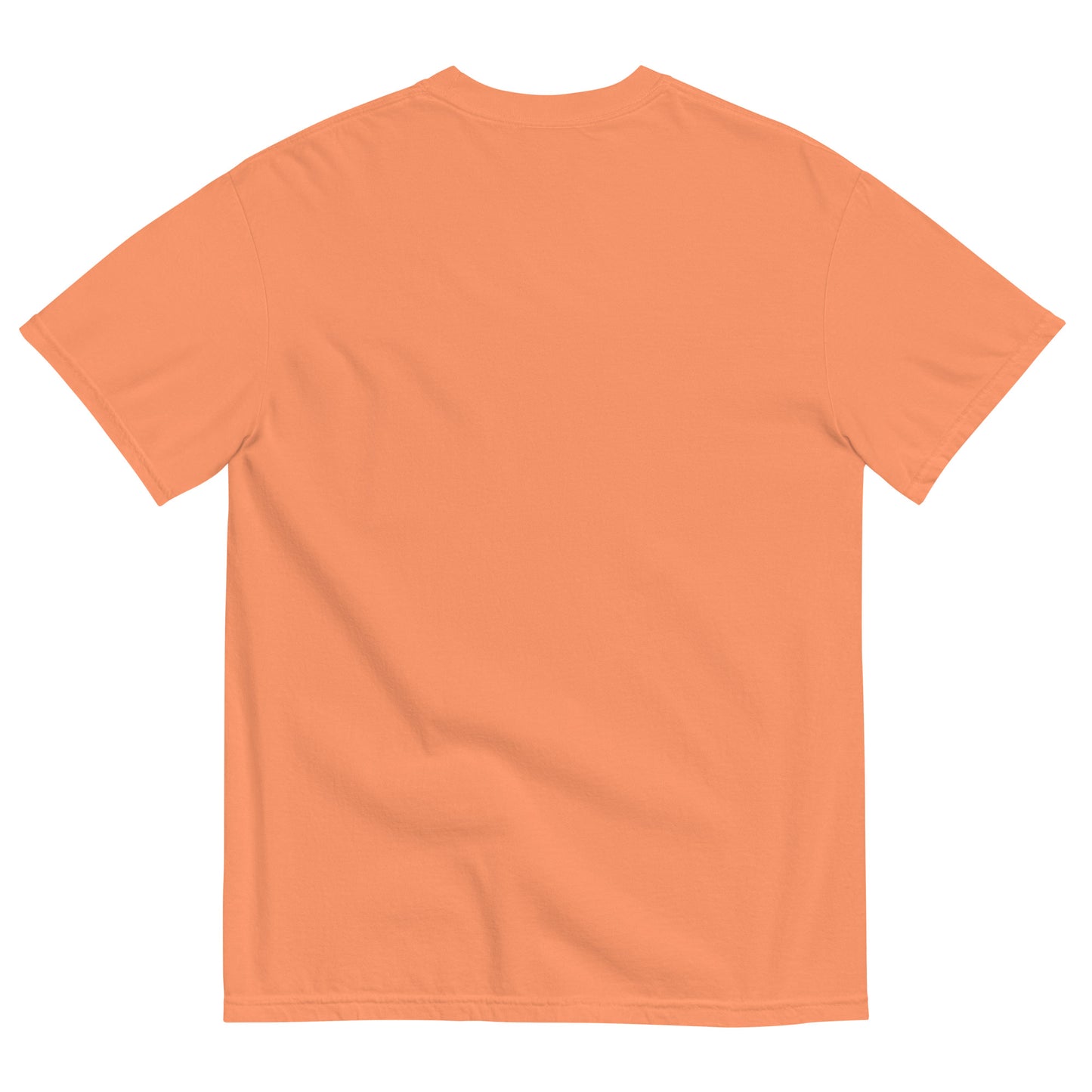 PUNXSUTAWNEY KILL (11 Colors)